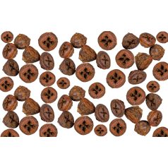 Eukaliptusz termés - Terrakotta - 28 dkg