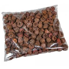 Eukaliptusz termés - Terrakotta - 28 dkg