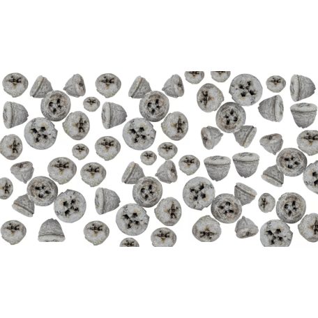 Eukaliptusz termés - Szürke - 28 dkg/csomag