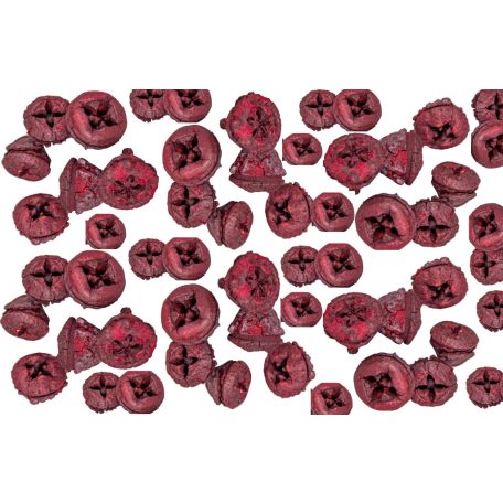 Eukaliptusz termés - Piros - 28 dkg