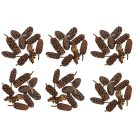 Birch pine termés - Natúr - 30 dkg/csomag 