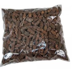 Birch pine termés - Natúr - 30 dkg/csomag 