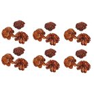 Ming boglárka - Barna - 4 cm virágok - 50 db/csomag