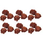 Ming boglárka - Barna - 6 cm virágok - 25 db/csomag