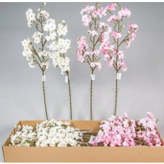 Gyümölcs ág - 110 cm