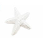 Tengeri csillag gyöngyház színű - 8 db/csomag