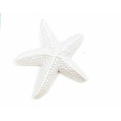 Tengeri csillag gyöngyház színű - 8 db/csomag