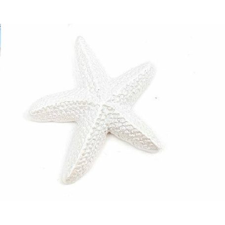 Tengeri csillag gyöngyház színű - 8 db/csomag