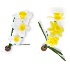 Mű nárcisz csokor hagymával gumi - 2 féle - 46 cm 