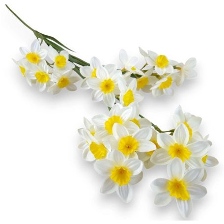 Mű nárcisz bokros - Fehér-sárga - 76 cm