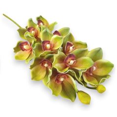 Mű csónakorchidea szál - Zöld - 74 cm
