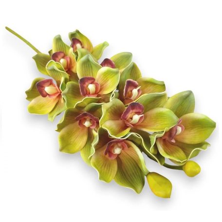 Mű csónakorchidea szál - Zöld - 74 cm