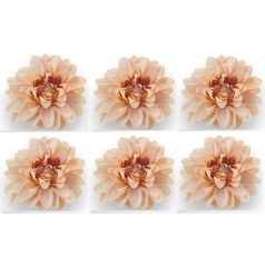 Dália virágfej - Barack - 10 cm - 10 db/csomag