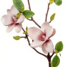 Magnólia ág polifoam - 3 virágos - 50 cm