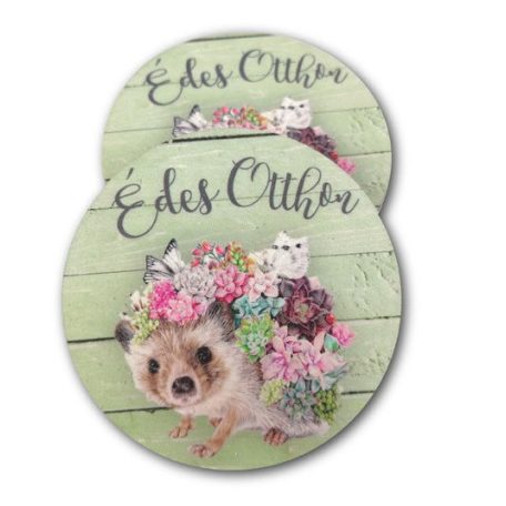 Fa tábla - Édes otthon zöld sünis - 7x7 cm