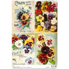 Calambour rizspapír - A3 - 32x45 cm - TCR-128 - Raktáron