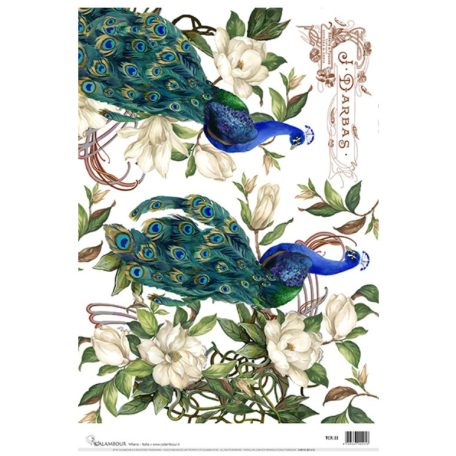 Calambour rizspapír - A3 - TCR-33