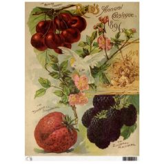 Calambour rizspapír - 32x22,5 cm - TT-51