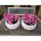 Bélelt fészek fehér közepes - 25x7 cm