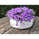 Bélelt fészek fehér közepes - 25x7 cm