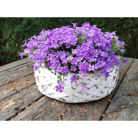 Bélelt fészek fehér közepes - 25x7 cm