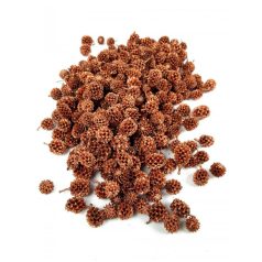 Karácsonyi termések, bogyók