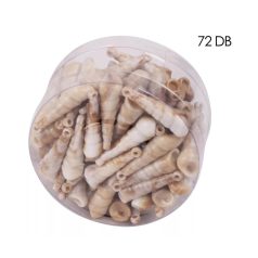 Nyár-tenger kagylók, csillagok