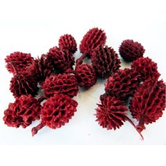 Termések szinek szerint - piros-bordó