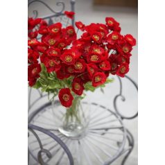 Virágcsokrok-színek szerint-piros