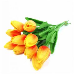 Tavaszi virágok - réti virágok